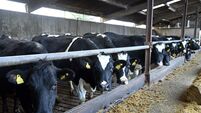 Watch: Farmers on how farming has changed in the last 20 years 