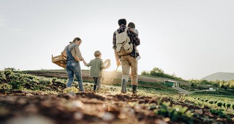 Farm life
