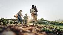 Farm life
