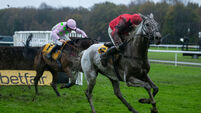 Haydock Park Races - Saturday November 23rd