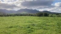 20 acres of Kerry grassland already under offer may exceed €20k/acre