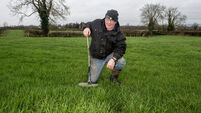Alex McCarthy: It's data processing December on the farm in Feenagh