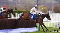 Gaelic Warrior withdrawel prompts King George betting shake-up
