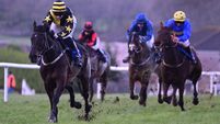 Karniquet and Sortudo impress on debut at Tramore