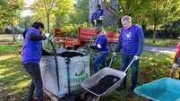 This mulch I know: it’s good for your garden any time of year, but particularly in winter