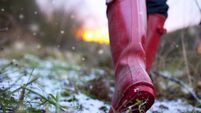 Winter Walk in Wellies