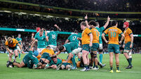 Ireland players celebrate as Gus McCarthy scores a try 30/11/2024