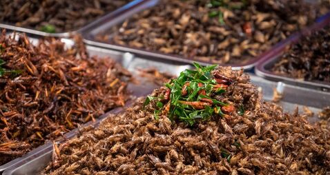 Fried insects, Exotic Asian food. Fried Insect or Bugs fried on Street food in Thailand