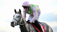 Fairyhouse Winter Festival - Day Two