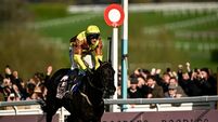 Cheltenham Racing Festival - Day Four