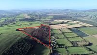 30-acres suitable for forestry sells for almost €10,000/ac