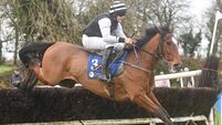  Boss Robin wins competitive renewal of open lightweight at Ballindenisk point-to-point