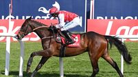 Haystacks ready for giant leap at Clonmel