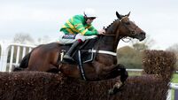 Jonbon looks good to defend Tingle Creek title