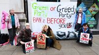 Green Party's experience shows the limits of government formation in Ireland