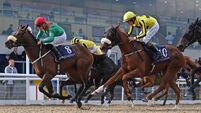Dundalk preview: Karazhal looks set for return to winning ways