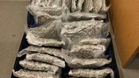 Man arrested after herbal cannabis worth €600k seized at Dublin Airport