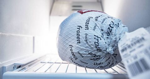 Frozen Turkey Waiting in Refrigerator Freezer