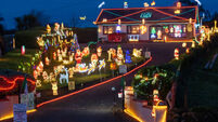 Watch: Limerick man's three miles of cable and 140,000 Christmas lights raise money for charities