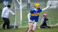 Harty Cup talking points: how best to paint a picture of the Gaelcholáiste Mhuire hurling revival?