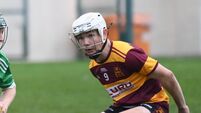 Hartley stars as De La Salle College dethrone Harty Cup champions Nenagh CBS