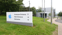 Apple tax case was 'not reputationally damaging' for Ireland, says IDA