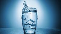 A glass of water, lemon, and ice
