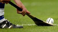 UL canter to 10-point victory in Senior Division 1 Hurling League final